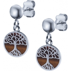 Boucles d'oreille acier - arbre de vie - œil de tigre - diamètre 14mm